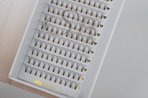 5D Mini Lash Trays