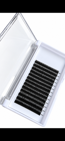 Wet Lash Trays