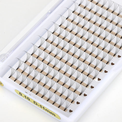 4D Mini Lash Trays 0.10 D Curl