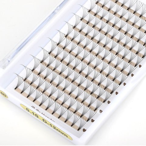 5D Mini Lash Trays